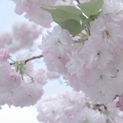 Furry插画创意构思Furry群